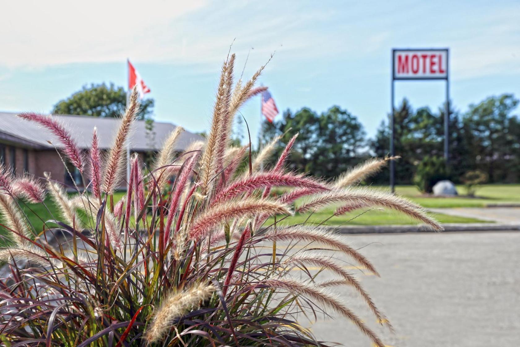 King Hotel Palmerston Eksteriør billede