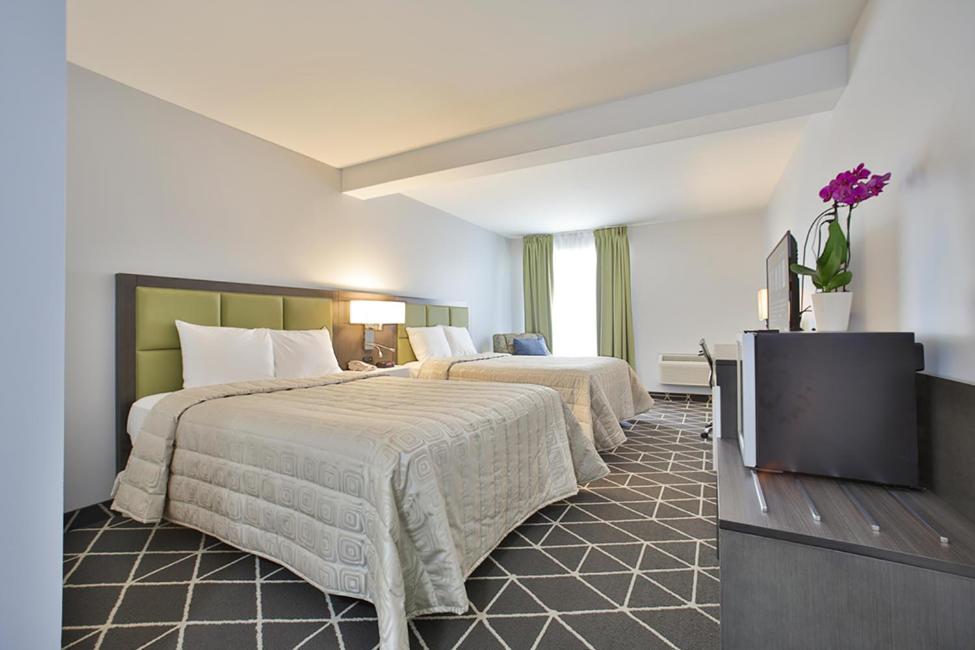 King Hotel Palmerston Eksteriør billede