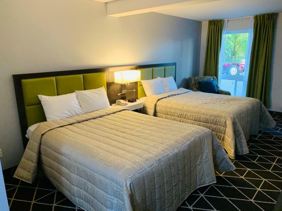 King Hotel Palmerston Eksteriør billede