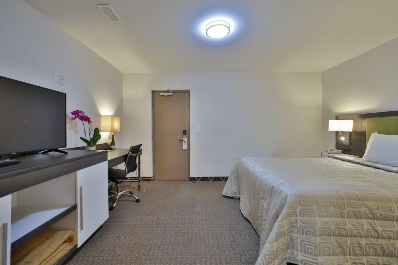 King Hotel Palmerston Eksteriør billede