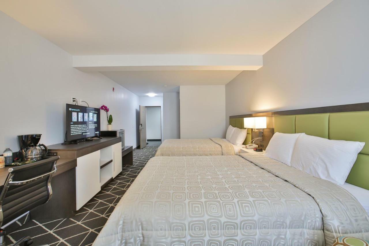 King Hotel Palmerston Eksteriør billede